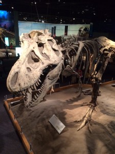 Royal Tyrrell Museum