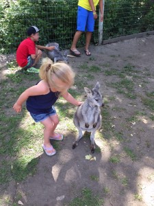 Kangaroo Creek Farm