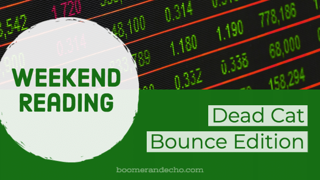 Weekend Reading: Dead Cat Bounce Edition