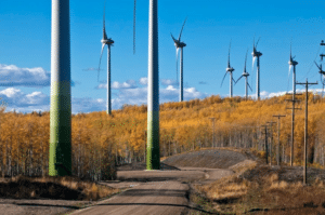 Bear Mountain Wind Project